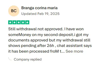Trustpilot review 3