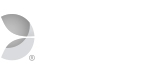 Evolution Gaming